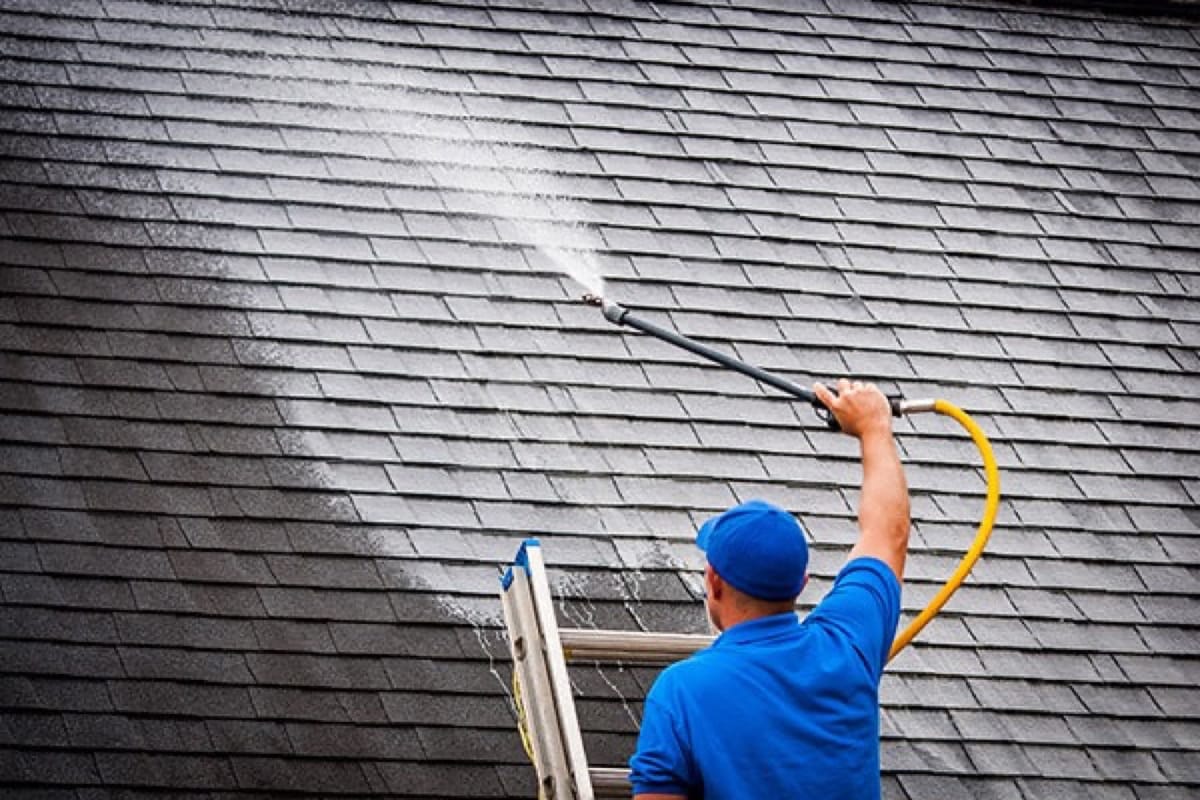 Black Streaks on Your Roof: What That Stuff Actually Is (and Why Midlands Roofs Get It Fast)